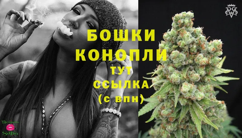 где купить наркоту  Нестеров  Марихуана Ganja 